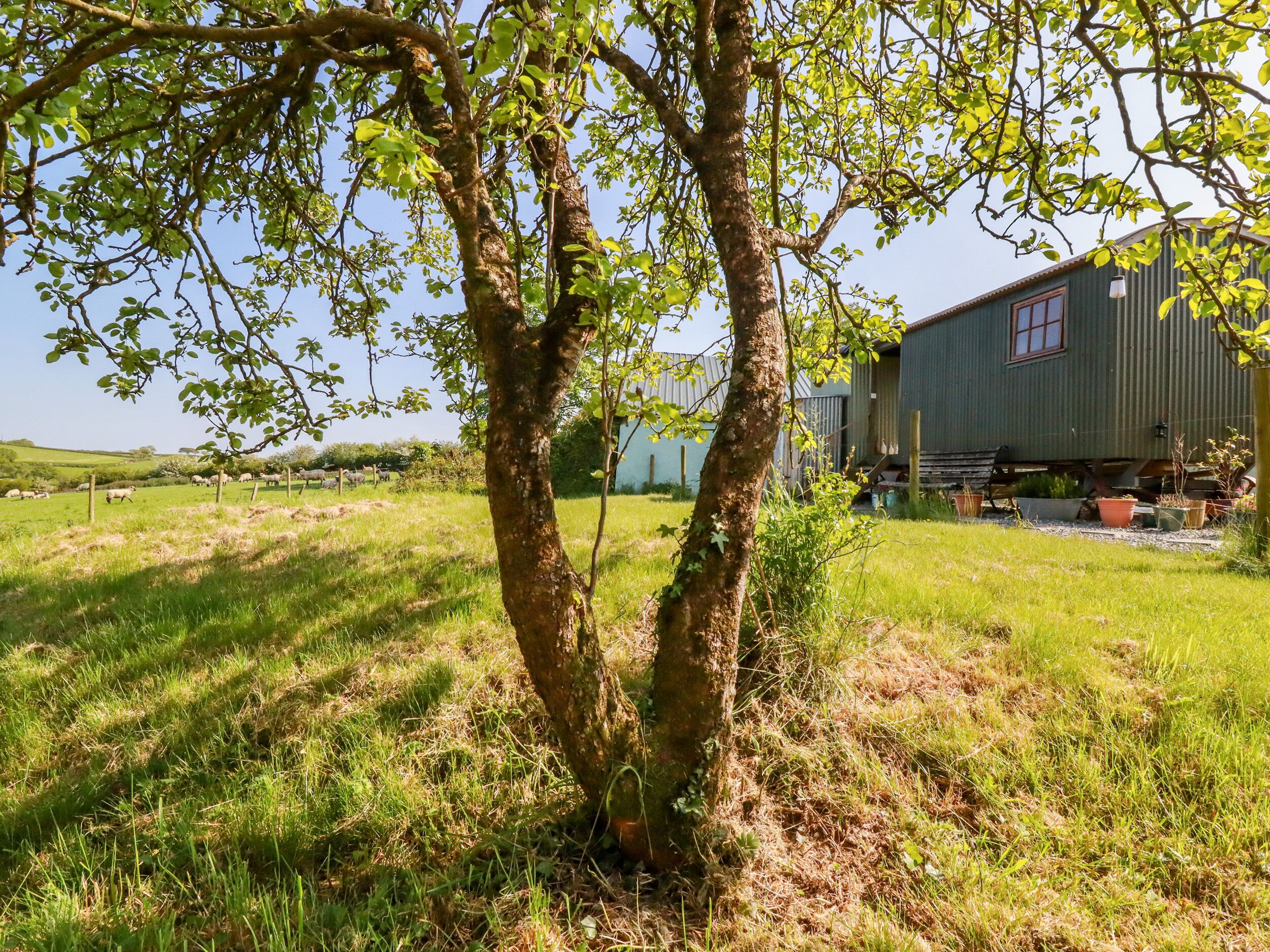 Una casa rústica con fachada de metal corrugado, rodeada por un campo cubierto de hierba y un árbol.
