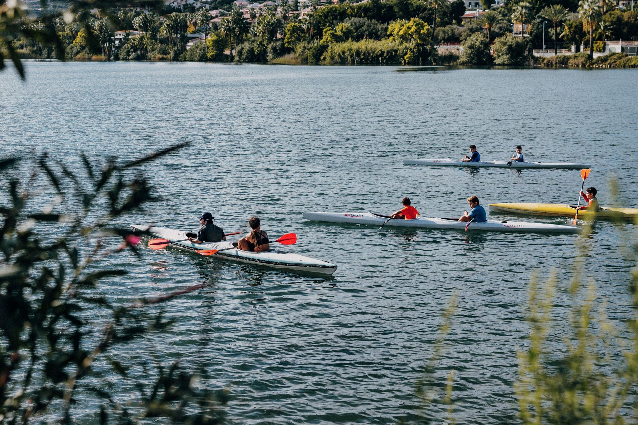 En grupp människor som paddlar kajak på en stilla sjö, med ett bostadsområde i bakgrunden.