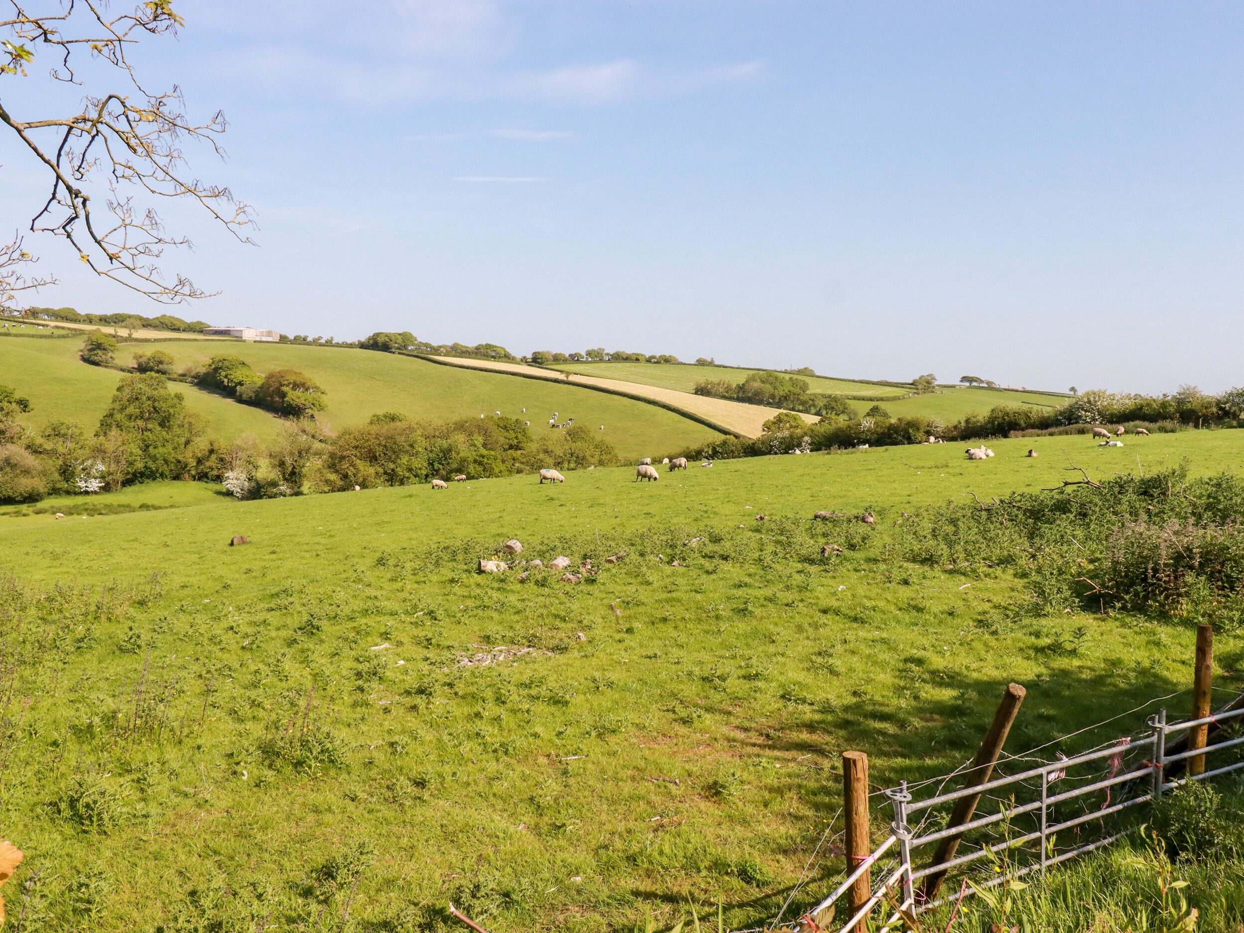 A rural landscape with rolling green hills, a fenced area with sheep, and a distant building.