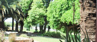 Cozy Guesthouse in Sandton.