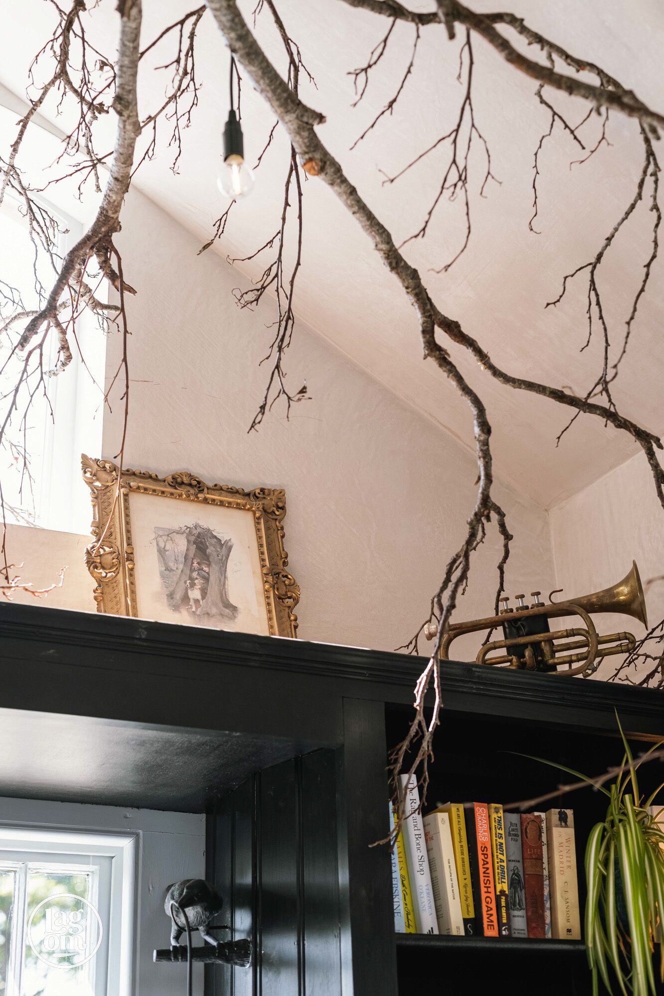 Una habitación con estantería, un cuadro enmarcado y una lámpara colgante.