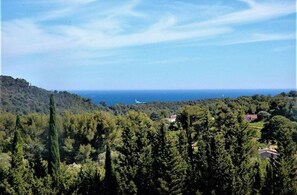 Exterieur
