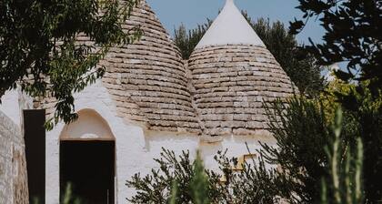 CocoTrullo