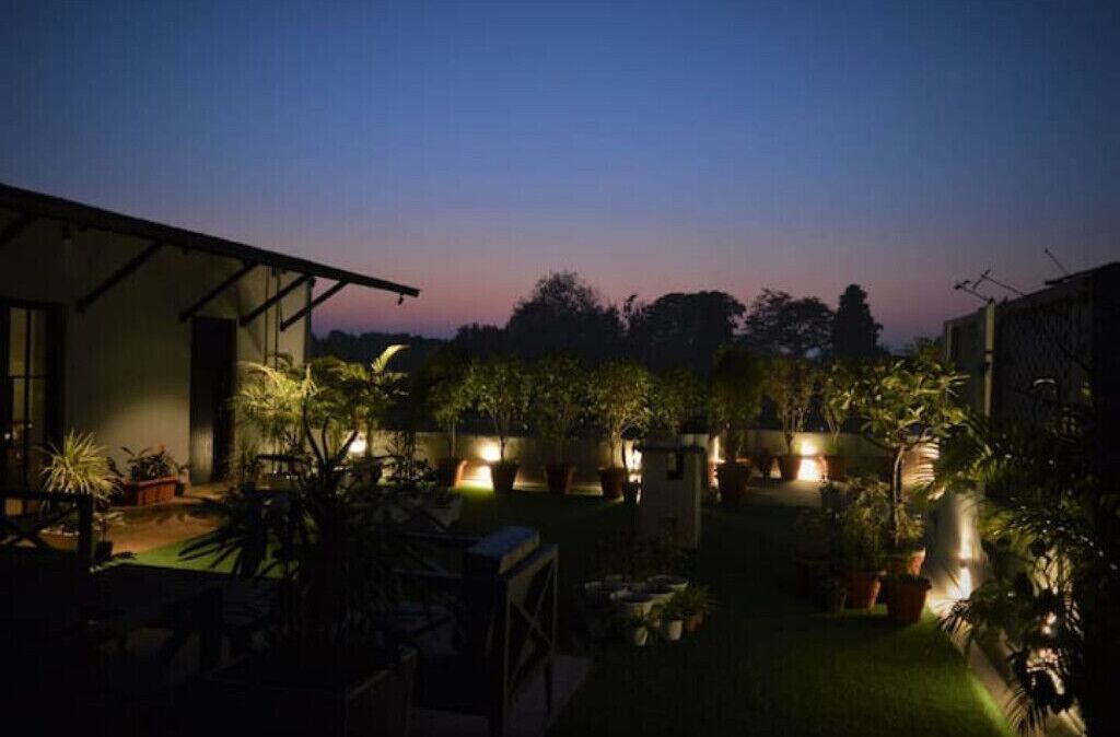 A well-lit outdoor area with potted plants and a small structure, possibly a shed, under a twilight sky.