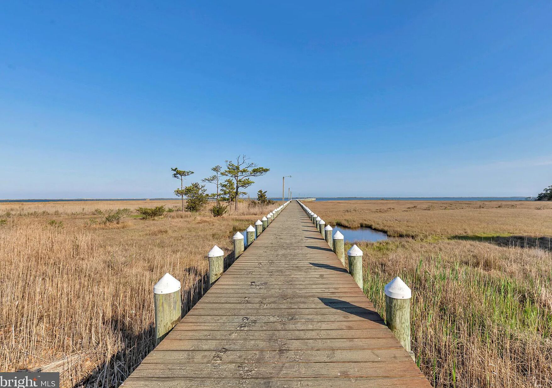 Een houten vogelkijkhut strekt zich uit over een moerassig landschap onder een helderblauwe lucht.