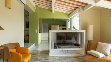 Télévision, cheminée, médiathÚque, vidéothÚque