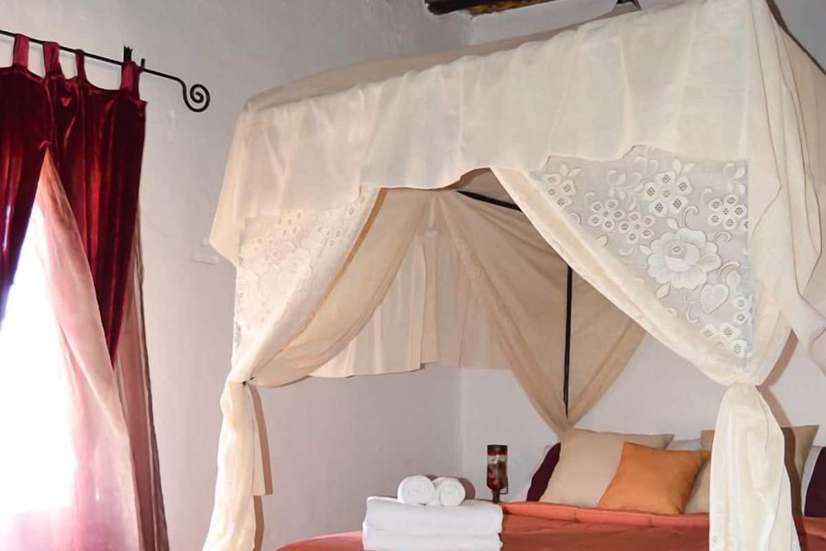 A bedroom with a four-poster bed, a blue rug, and a canopy.