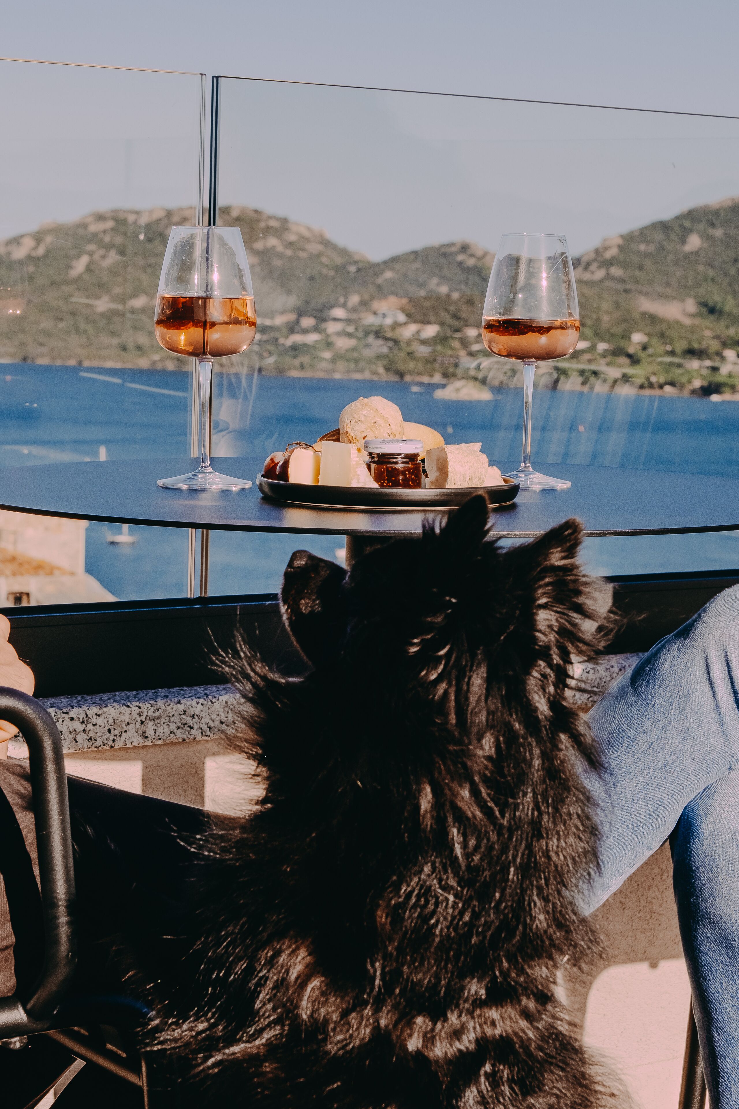 Une table avec deux verres de vin, une assiette avec du pain et du fromage, et un chien assis devant un paysage pittoresque.