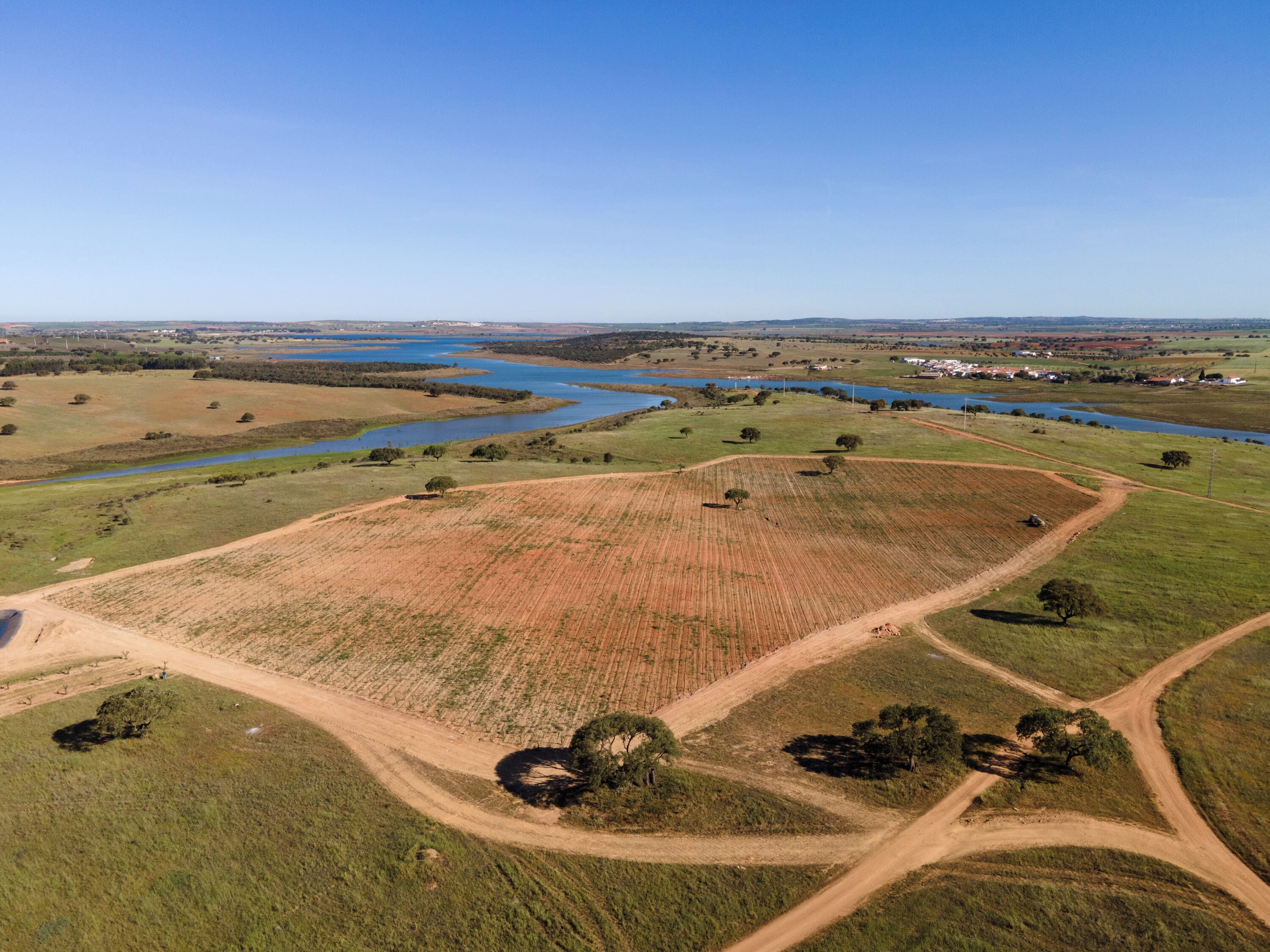 An aerial view of a rural landscape with fields, a river, and a few scattered trees.