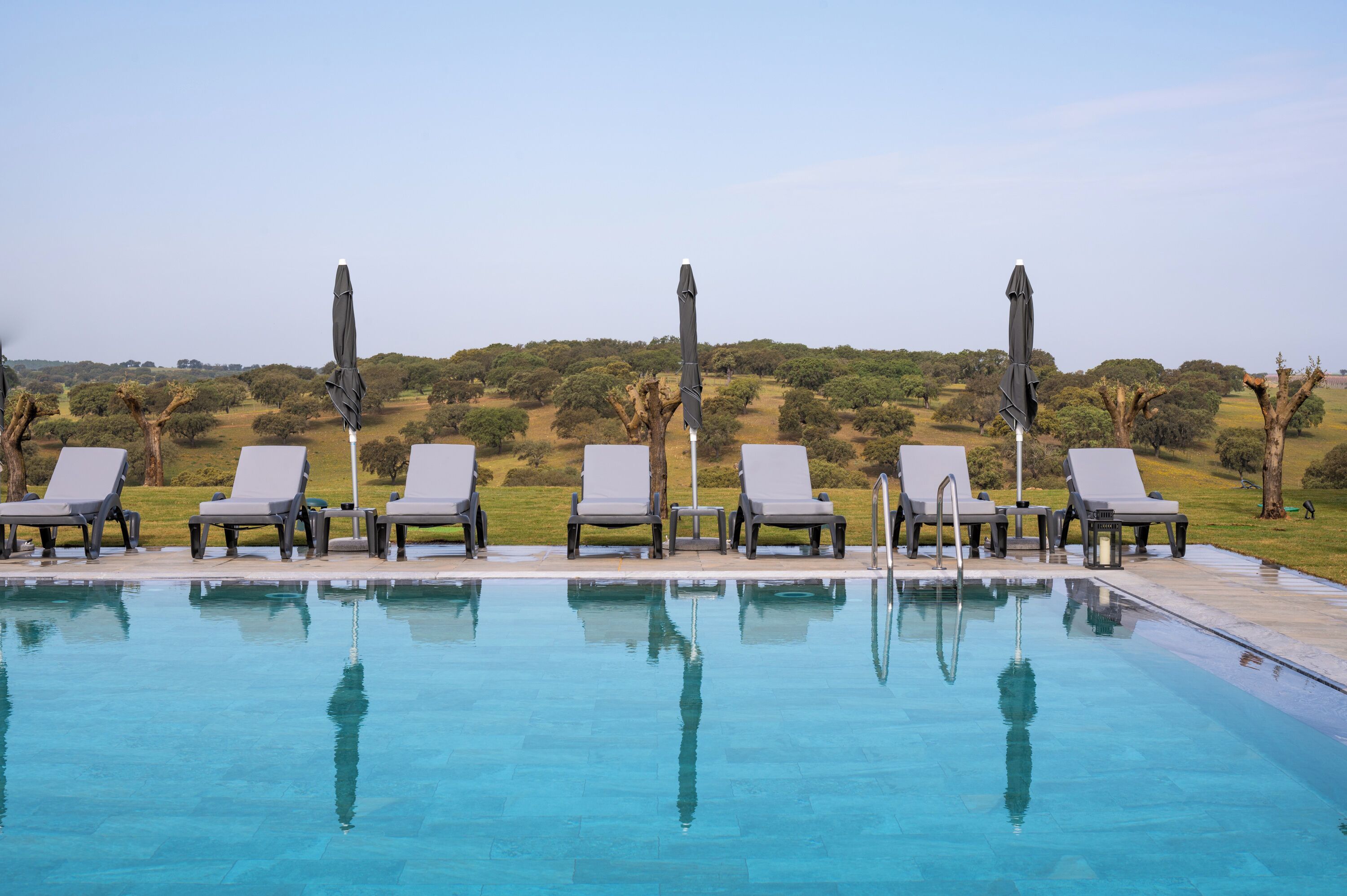 Une piscine entourée de chaises longues et de parasols, elle-même bordée d’un paysage verdoyant parsemé d’arbres.