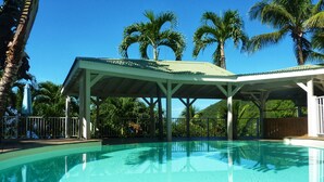Una piscina con zona techada, rodeada de palmeras y un cielo azul despejado.