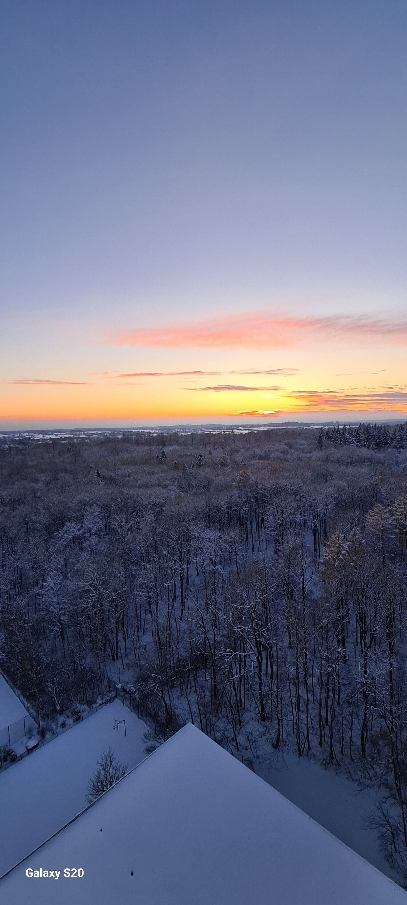 A winter landscape with a snow-covered forest and a clear sky.