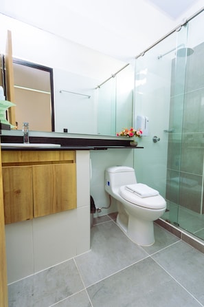 A modern bathroom with a glass shower enclosure, a white toilet, and a wooden vanity with a mirror.