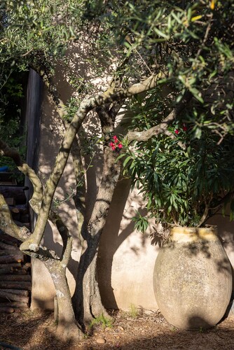 Villa Proche de Toutes Commodités Dans un Environnement Calme et Fleuri