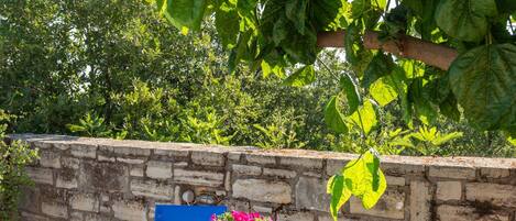 Family Apartment | Terrace/patio