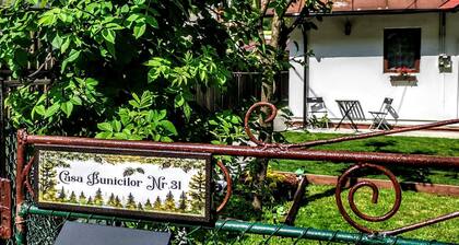 Casa Bunicilor - 3 bedroom house in center Sinaia