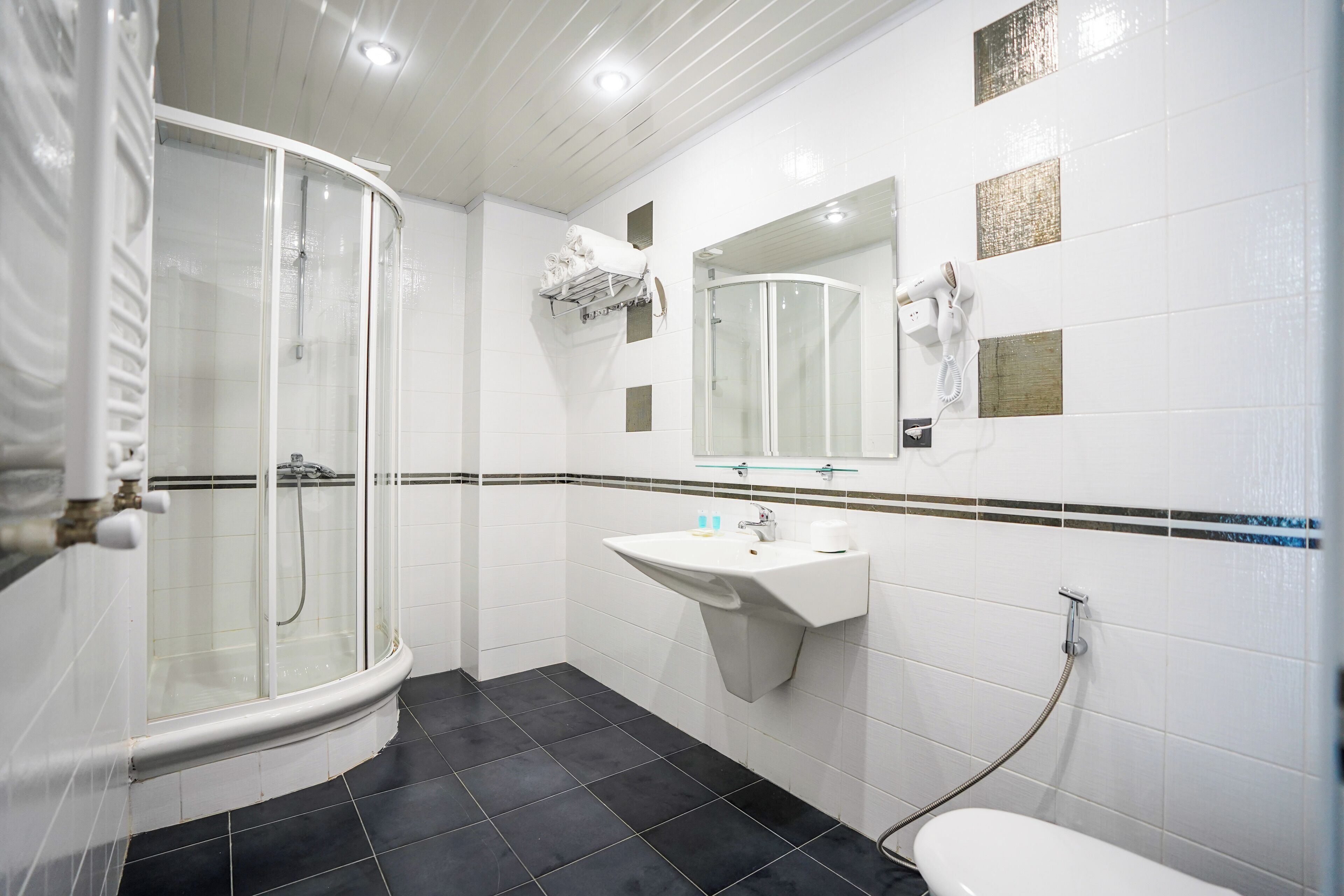 Un baño con ducha compartimentada con vidrio, un lavamanos con espejo y un inodoro.