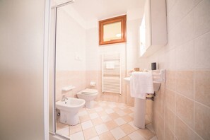Hair dryer, bidet, towels