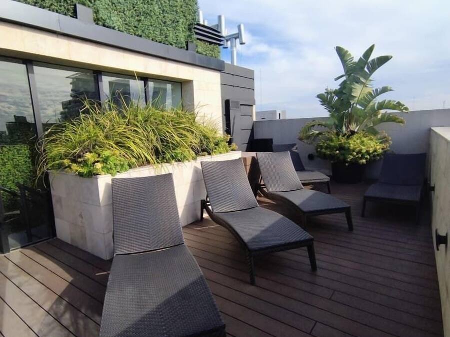 A rooftop terrace with lounge chairs, a planter with plants, and a modern building facade.