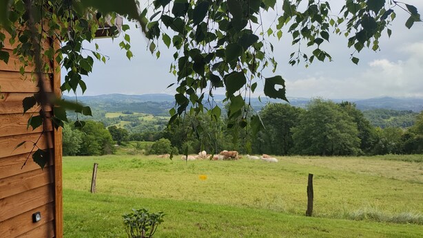 Une cabane en bois offrant une vue sur un champ verdoyant et des collines lointaines.
