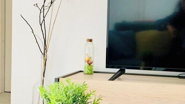 A living room with a TV, a plant in a burlap pot, and a bottle of flowers on a wooden floor.