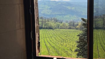 Deluxe Room, 1 King Bed, Air conditioning, Vineyard View | View from room