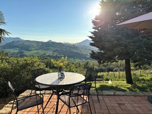 Deluxe Suite, 1 King Bed, Terrace, Vineyard View | Terrace/patio
