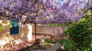 Een tuin met een pergola bedekt met paarse bloemen, een bankje en potplanten.