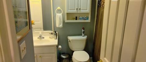 Een kleine badkamer met toilet, wastafel en kastje.