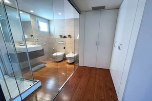 Shower, hair dryer, bidet, towels