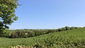 Une clôture en bois offrant une vue sur un champ verdoyant et des arbres en arrière-plan.