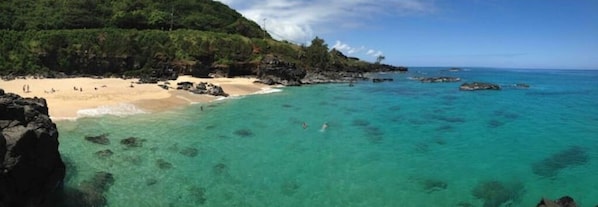 Strand