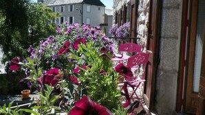 A building with a stone facade, a balcony with pink chairs, and purple flowers in the foreground.