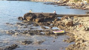 Une côte rocheuse avec une jetée qui s’avance dans l’eau, entourée d’arbres et de bâtiments en arrière-plan.