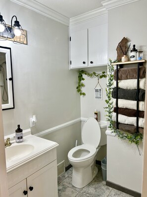 Hair dryer, towels, soap, shampoo - Charming farmhouse w/ pool, firepit, & close to 2 state parks! Pet friendly🐾 (Germanton)