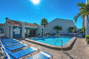 A swimming pool with blue lounge chairs, a no diving sign, and palm trees. - Madeira Beach Yacht Club 261F by Distinctive Beach Rentals (Madeira Beach)