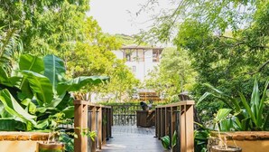 A wooden pathway leading to a building surrounded by lush greenery. - Casa de los Sueños- 5 BR Home at Las Catalinas (Catalinas)