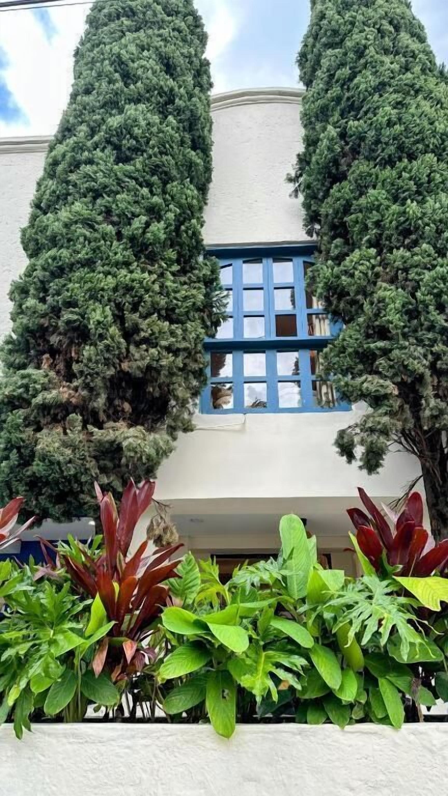 Un edificio con fachada blanca, un ventanal azul y dos árboles altos y delgados en primer plano.