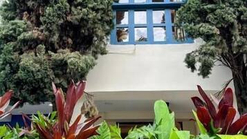 Un edificio con fachada blanca, un ventanal azul y dos árboles altos y delgados en primer plano.