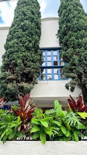 Ein Gebäude mit weißer Fassade, einem blauen Fenster und zwei hohen, schlanken Bäumen davor.