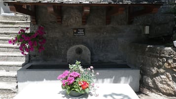 Parco della struttura