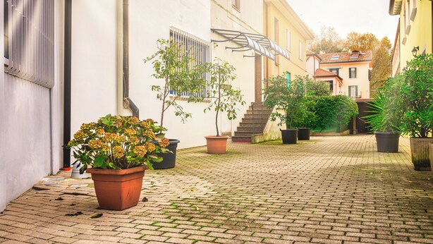 Une cour pavée, agrémentée de plantes en pot, avec un escalier et des bâtiments dotés de balcons.