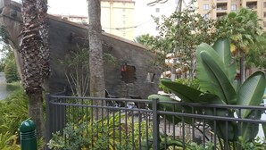 Une cour avec un mur en pierre, des palmiers et une clôture en métal.