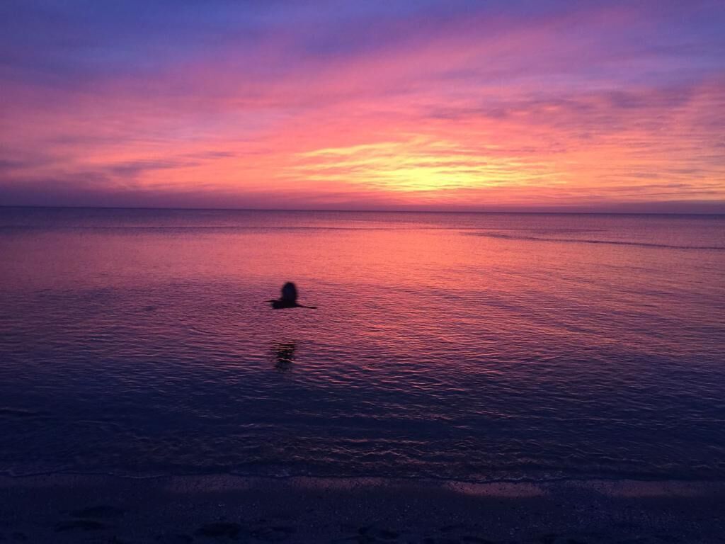 beautiful 2 bedroom beach condo