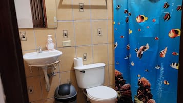 Habitación individual estándar | Baño | Regadera, regadera tipo lluvia, toallas