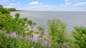 A coastal landscape with a beach, lush greenery, and a clear sky.