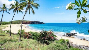 A beach with palm trees, a clear blue sky, and a view of the ocean. - 1-bedroom condo in Maunaloa, just 10 minutes from the beach (Maunaloa)