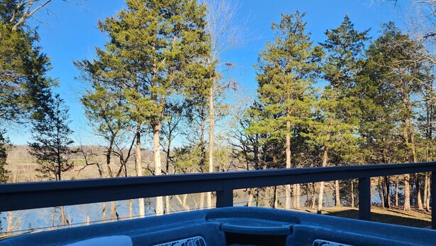 Un jacuzzi con vistas a árboles y un cielo despejado.