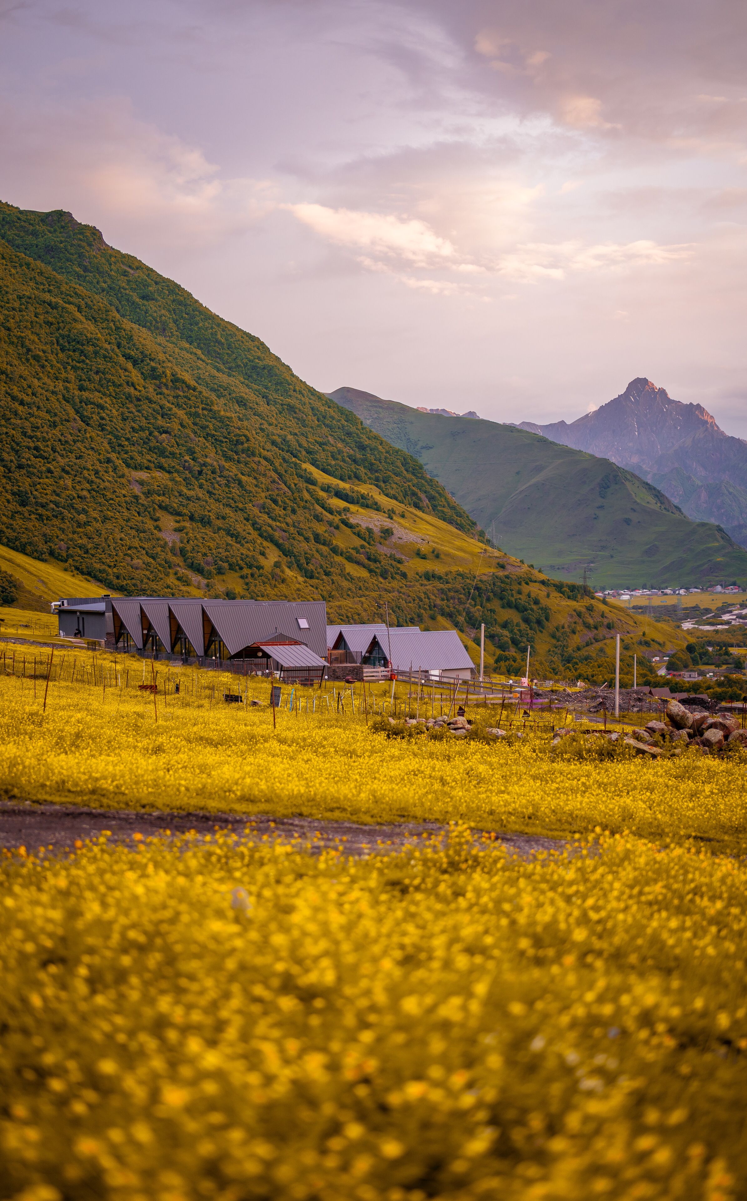 Un paisaje rural con una hilera de edificios modernos, posiblemente una granja o un refugio campestre, rodeado de colinas verdes y un campo de flores amarillas.