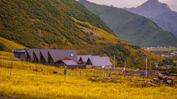 Un paisaje rural con una hilera de edificios modernos, posiblemente una granja o un refugio campestre, rodeado de colinas verdes y un campo de flores amarillas.